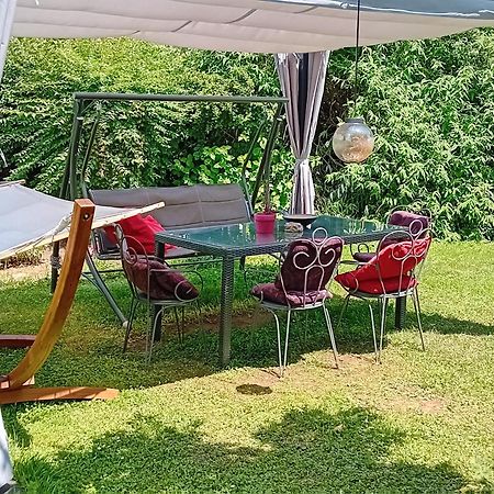 Camping Under The Walnut In Your Own Tent On A Shared Lot And Shared Bathroom 류블랴나 외부 사진