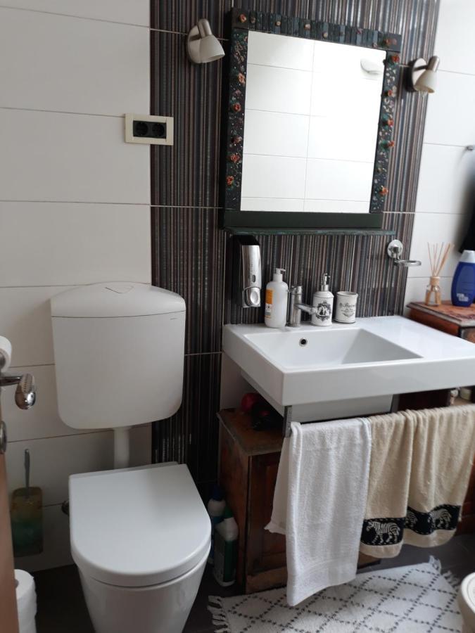 Camping Under The Walnut In Your Own Tent On A Shared Lot And Shared Bathroom 류블랴나 외부 사진