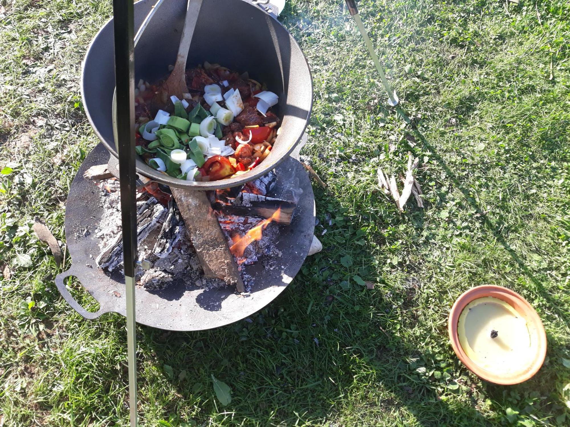 Camping Under The Walnut In Your Own Tent On A Shared Lot And Shared Bathroom 류블랴나 외부 사진