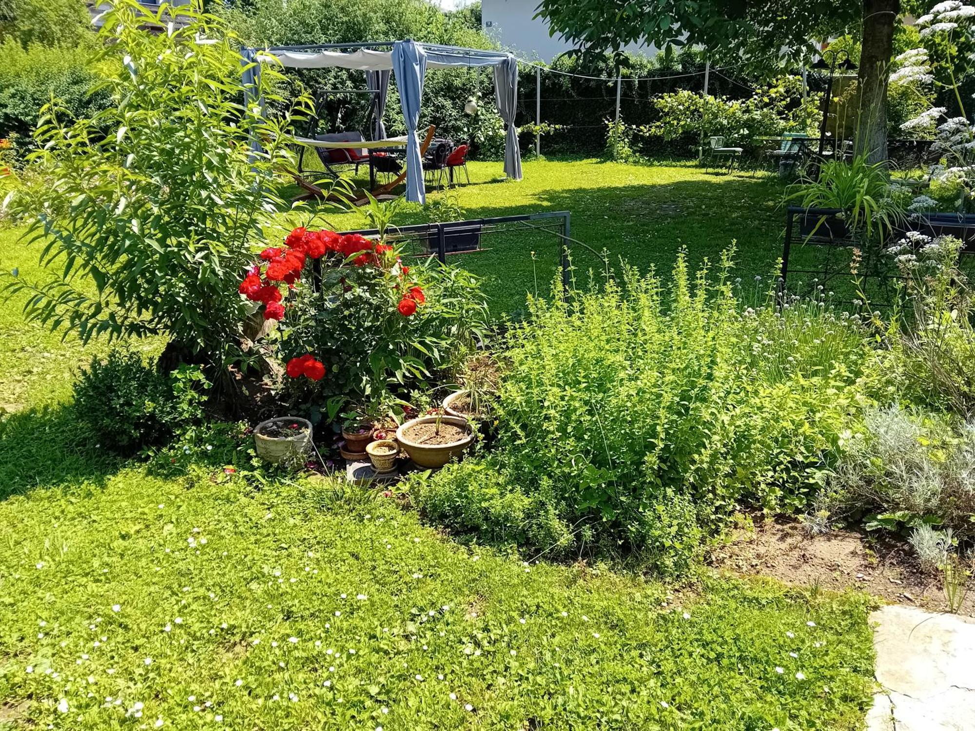 Camping Under The Walnut In Your Own Tent On A Shared Lot And Shared Bathroom 류블랴나 외부 사진